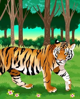 Wildlife