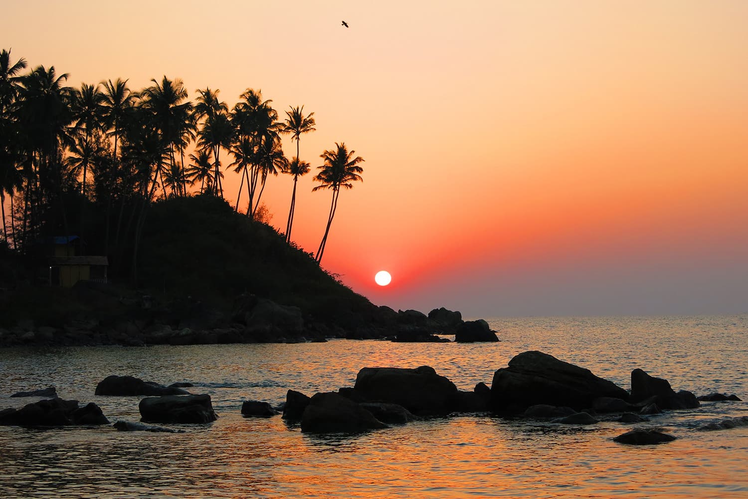 Goa Wildlife