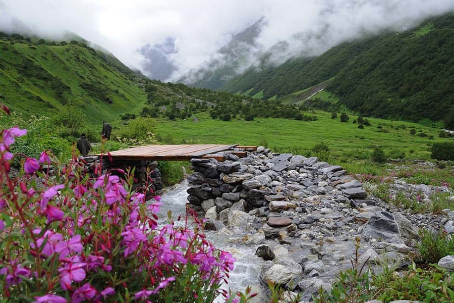 Places to stay near Nanda Devi National Park