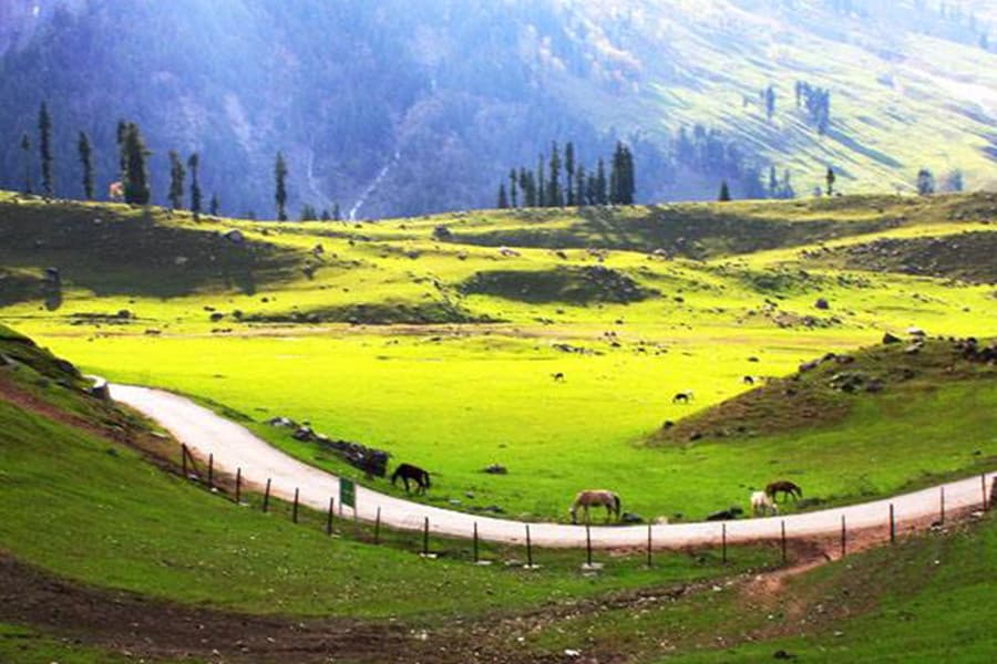 Sonamarg Weather and Temperature
