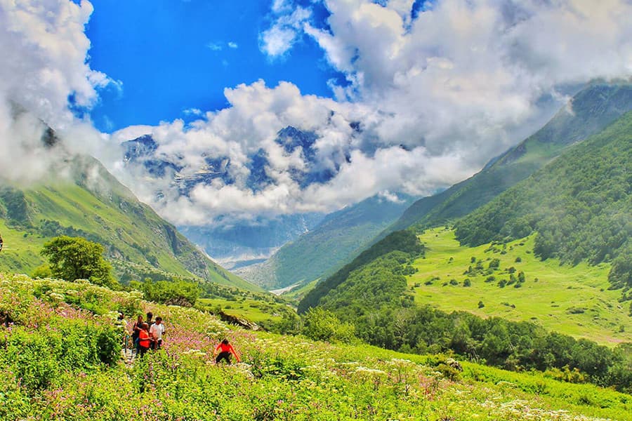 Nanda Devi National Park