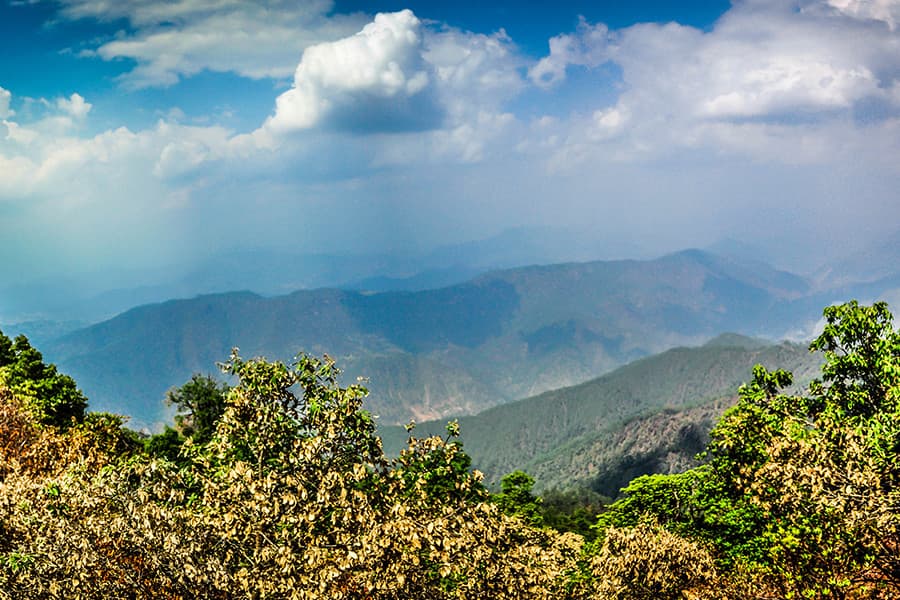 How To Reach Binsar