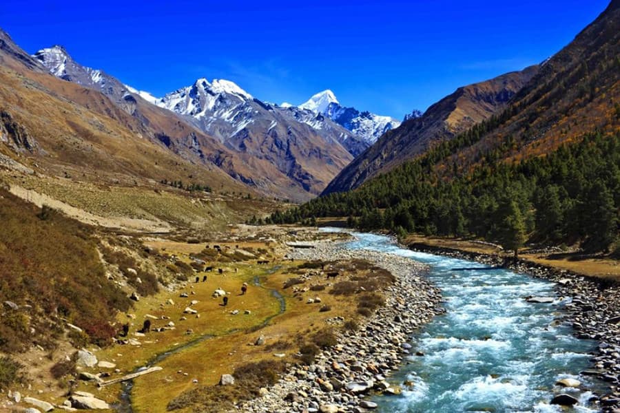 Chitkul