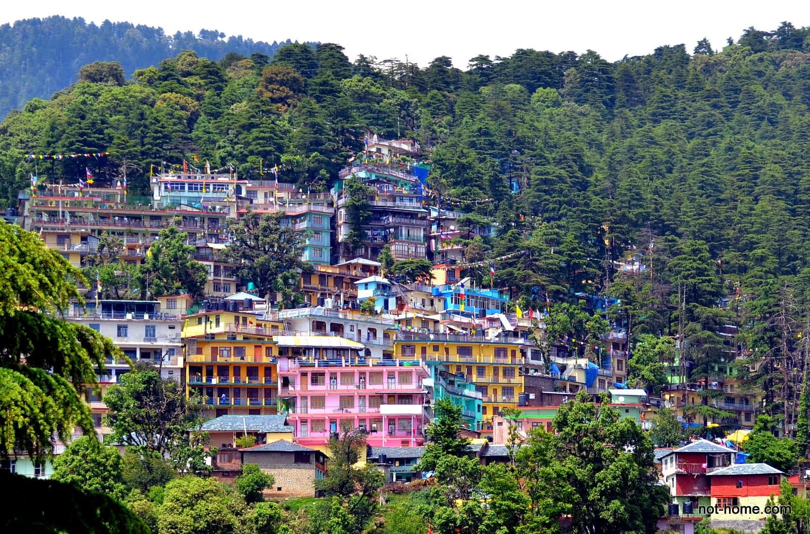 Dharamshala Places to Stay