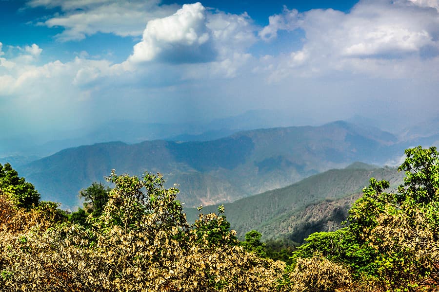 Places To Stay In Binsar