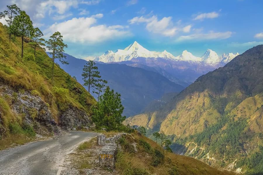 Binsar