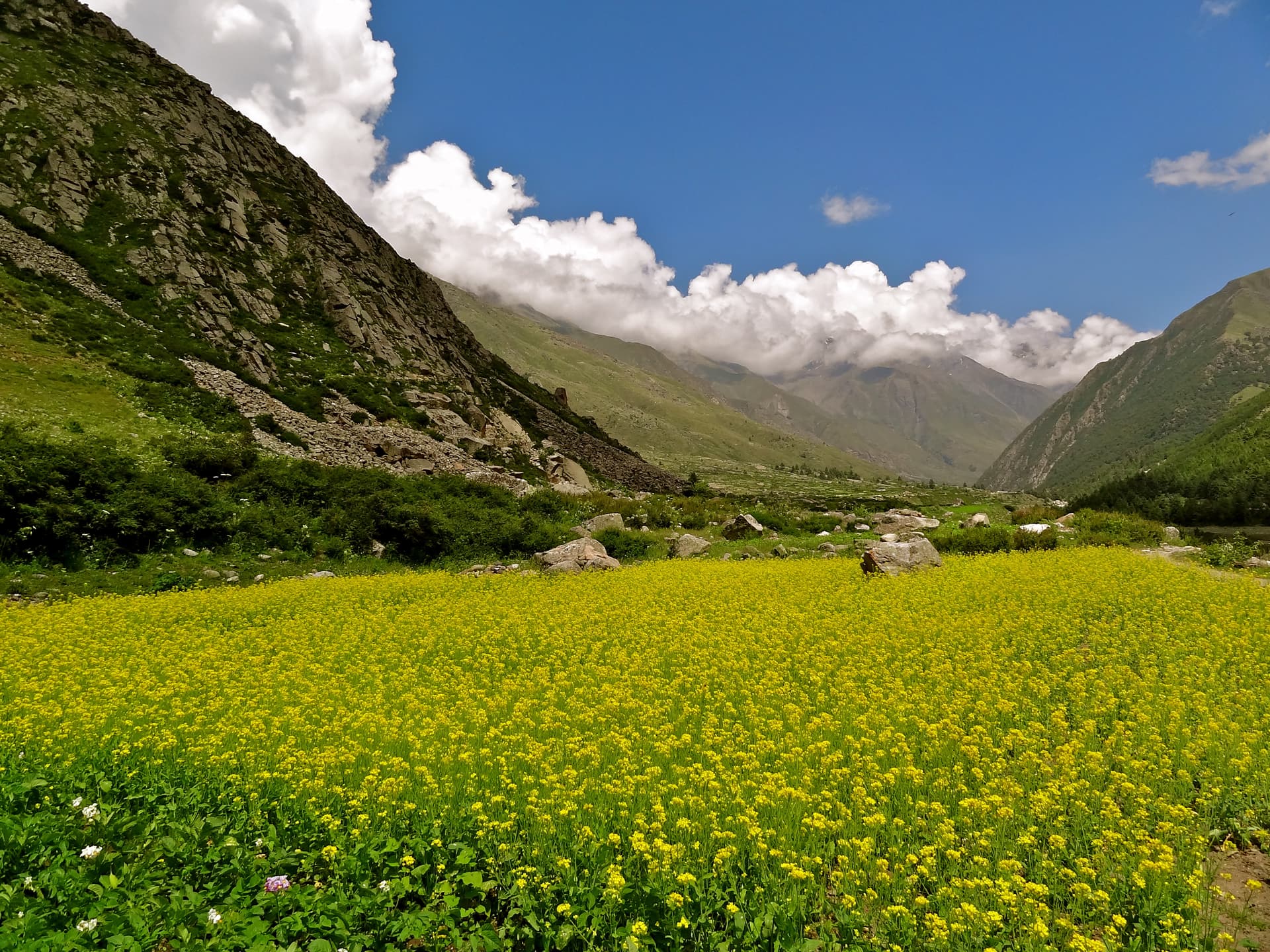 Sangla Valley