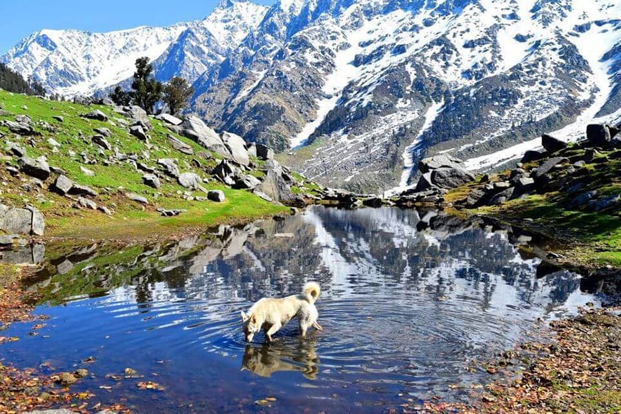 Mcleodganj