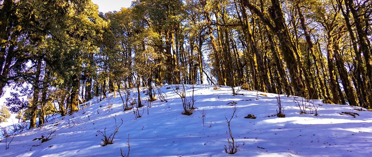 Nag Tibba